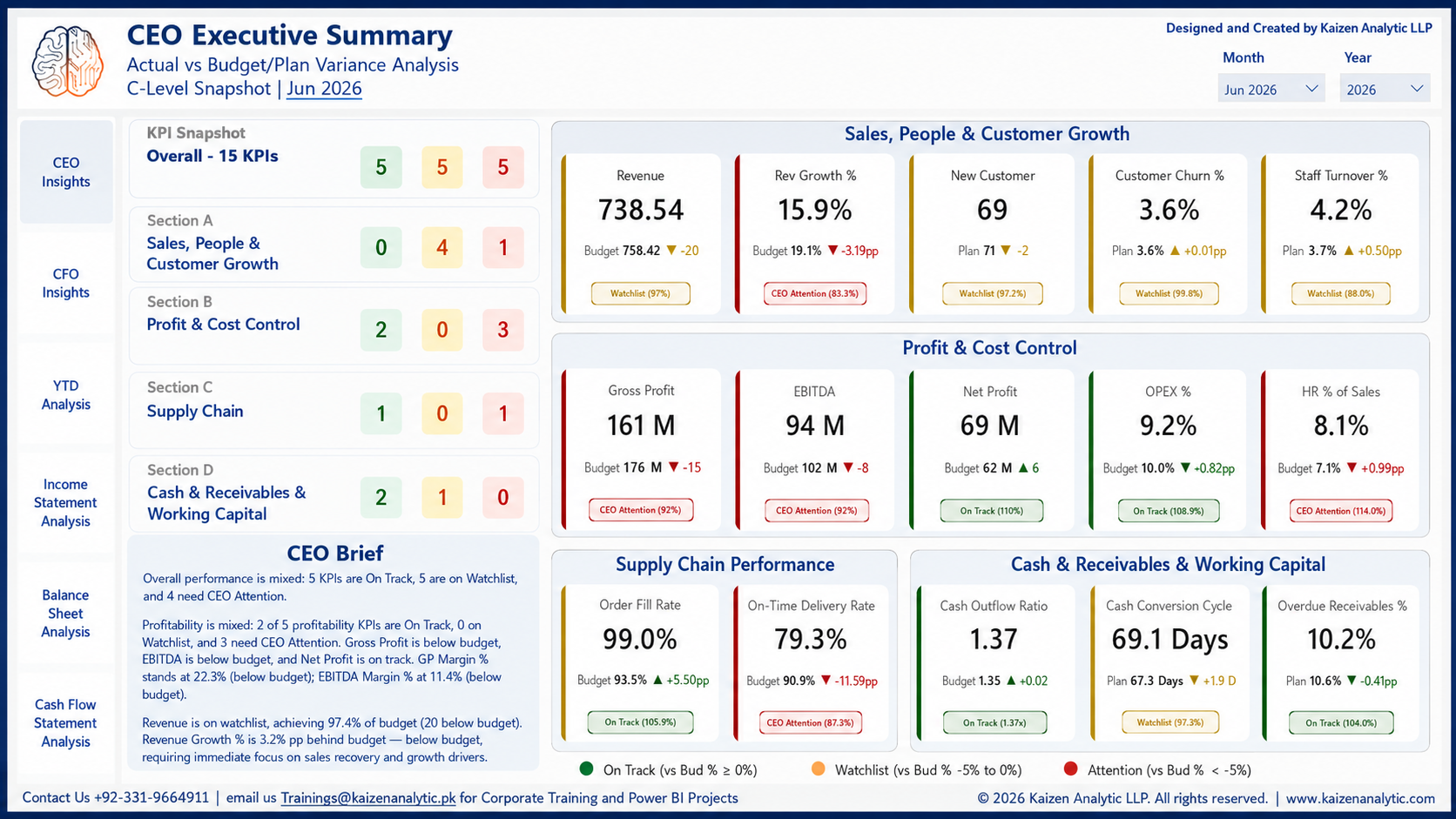 CEO Executive Summary Dashboard